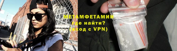 прущие грибы Надым