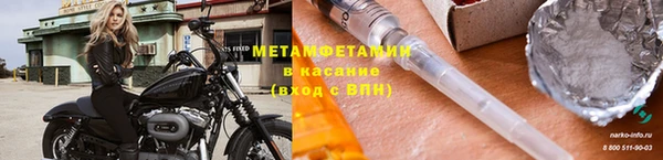 прущие грибы Надым