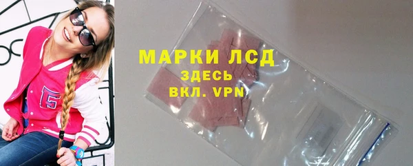 прущие грибы Надым