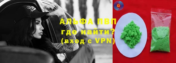 прущие грибы Надым