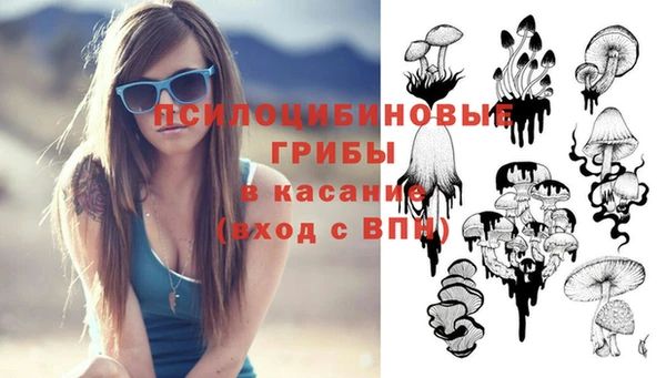 прущие грибы Надым