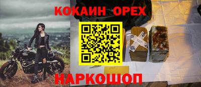 гидра Берёзовский