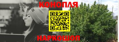 гашик Волжский