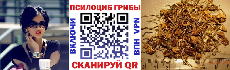 Псилоцибиновые грибы ЛСД  Кольчугино 