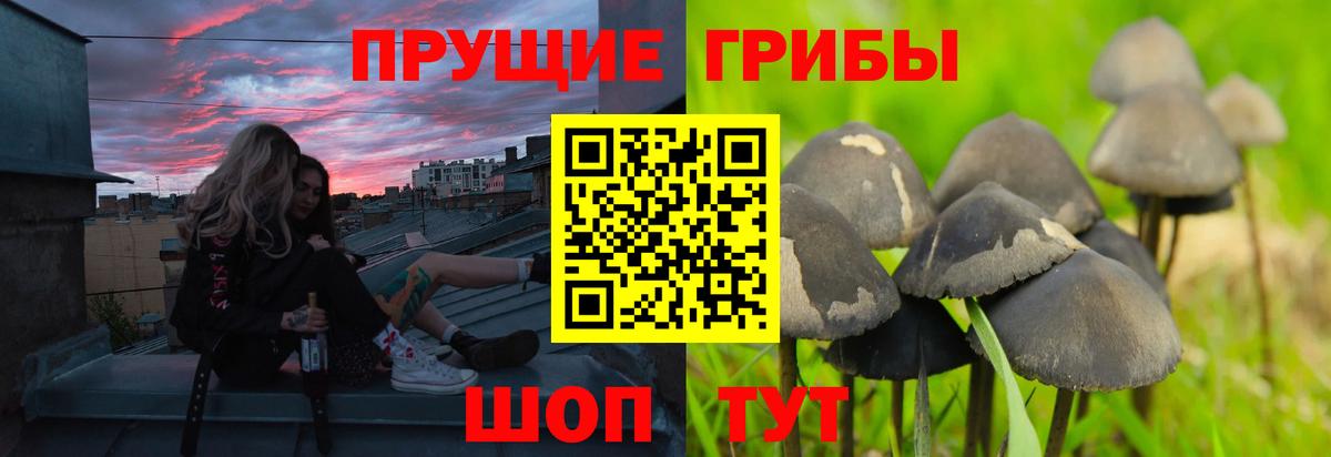 Галлюциногенные грибы MAGIC MUSHROOMS  купить   Кольчугино 